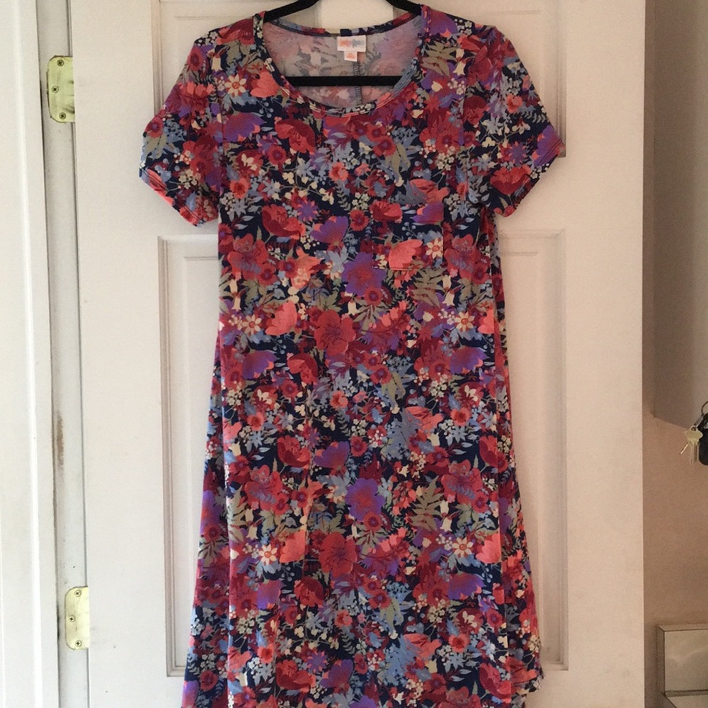LuLaRoe Carly Dress